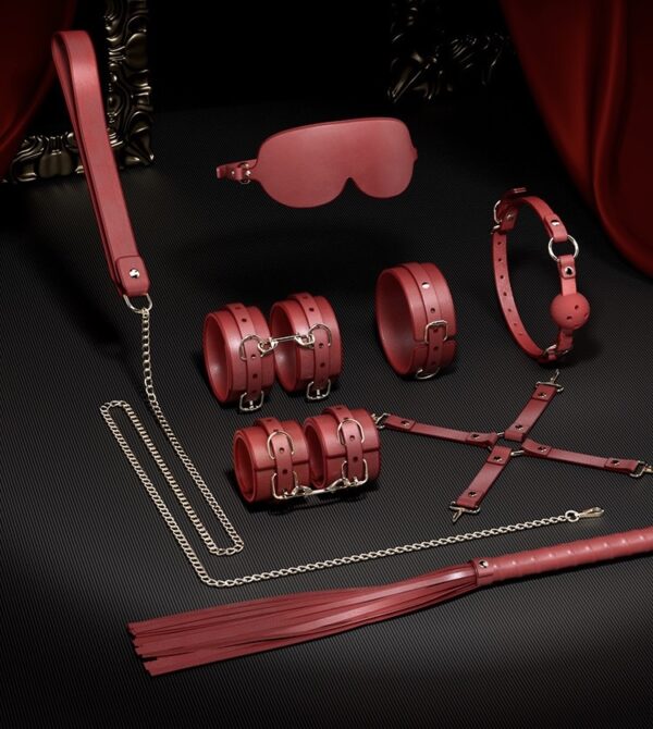10-Piece Premium BDSM Bondage Kit-purrplay - Image 3