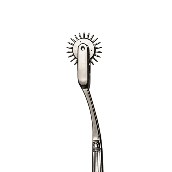 Stainless Steel Pinwheel-purrplay - Image 3