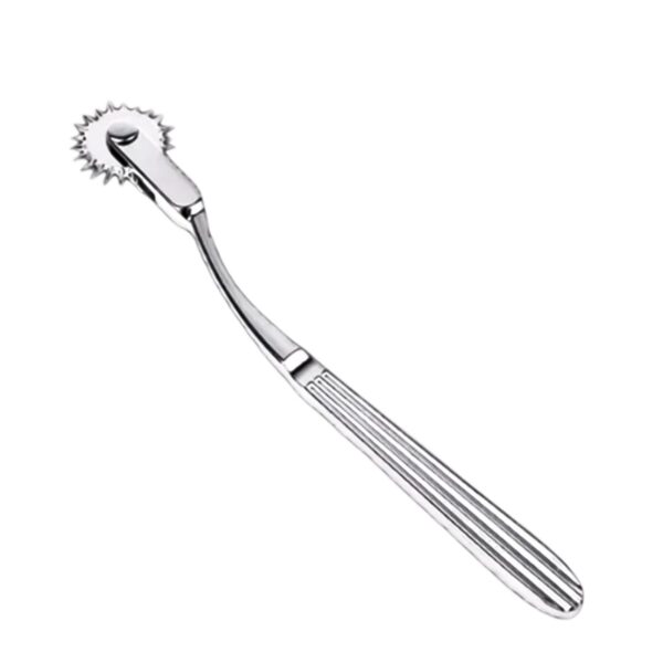 Stainless Steel Pinwheel-purrplay - Image 4