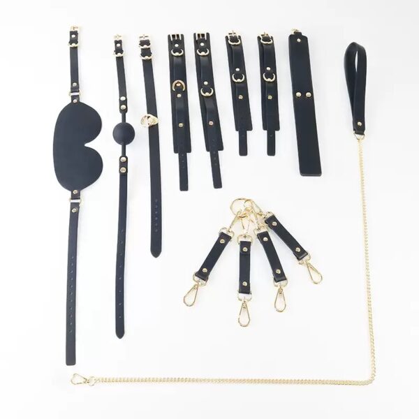 Luxury Bondage Kit in Lockable Display Case-purplay - Image 4